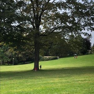 Meet your Posher, Rosa